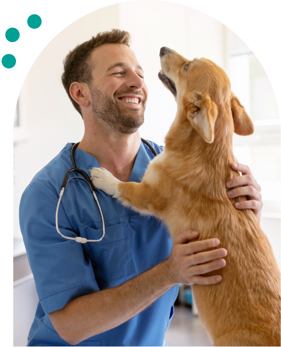 perro y veterinario